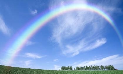 Иллюстрация к книге — Сказочная энциклопедия для маленьких вундеркиндов. Чудеса в природе [i_043.jpg]