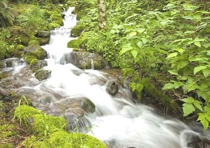 Иллюстрация к книге — Сказочная энциклопедия для маленьких вундеркиндов. Чудеса в природе [i_065.jpg]