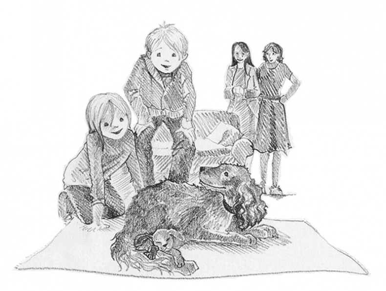 Иллюстрация к книге — Щенок Любимчик, или Давай мириться! [i_003.jpg]