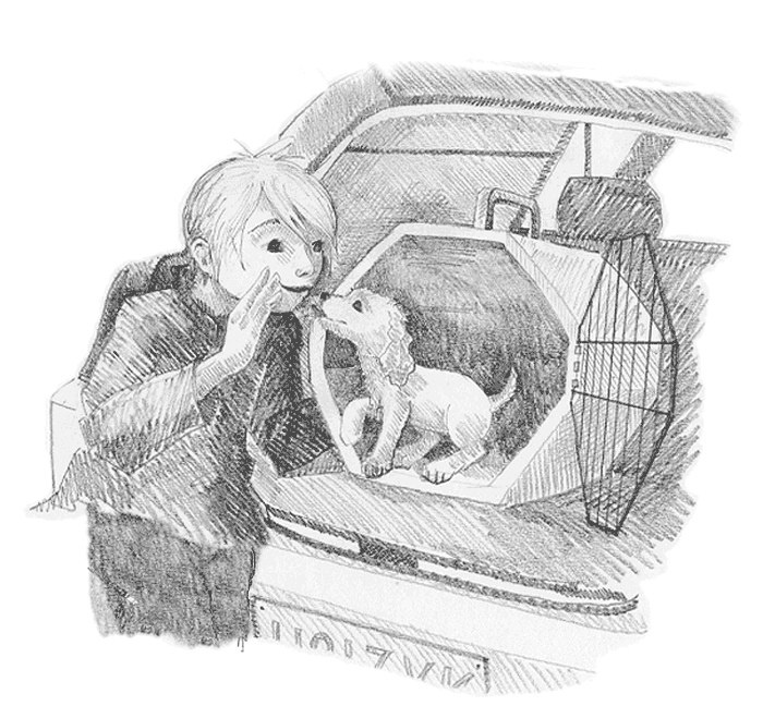 Иллюстрация к книге — Щенок Любимчик, или Давай мириться! [i_004.jpg]