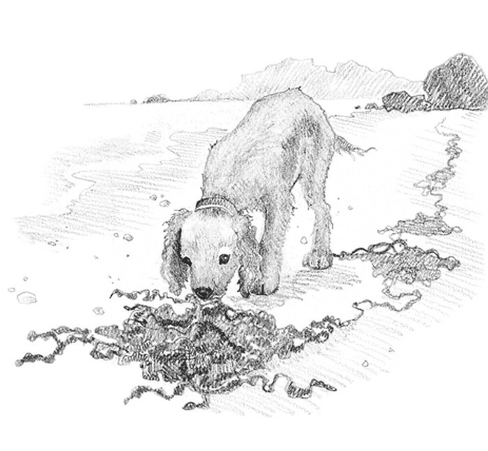 Иллюстрация к книге — Щенок Любимчик, или Давай мириться! [i_011.jpg]