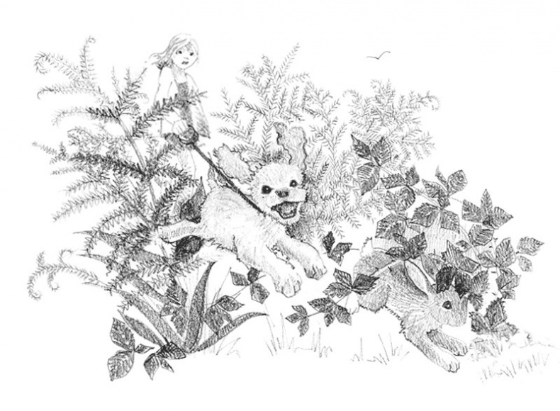 Иллюстрация к книге — Щенок Любимчик, или Давай мириться! [i_016.jpg]