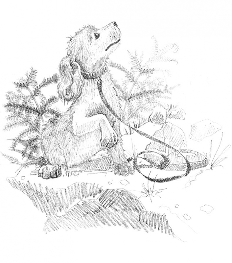 Иллюстрация к книге — Щенок Любимчик, или Давай мириться! [i_020.jpg]