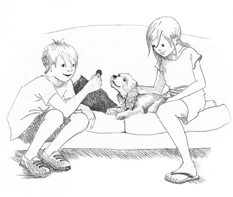 Иллюстрация к книге — Щенок Любимчик, или Давай мириться! [i_029.jpg]