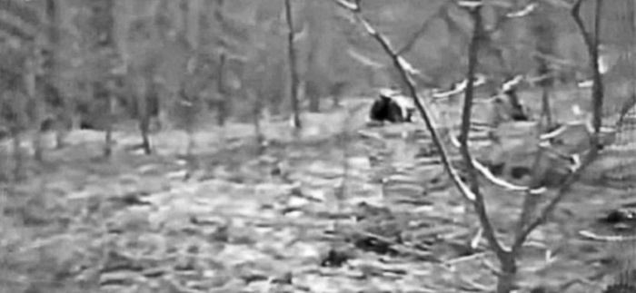 Иллюстрация к книге — Военные тайны ХХ века [i_021.jpg]