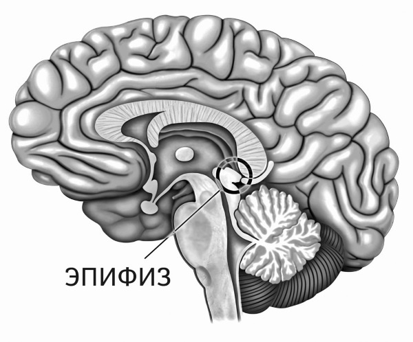 Иллюстрация к книге — Военные тайны ХХ века [i_024.jpg]