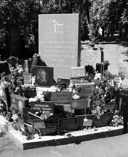 Иллюстрация к книге — Неизвестный Лангемак. Конструктор "катюш" [i_118.jpg]