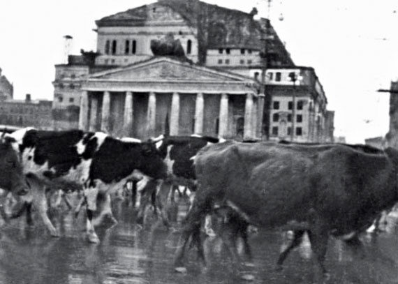 Иллюстрация к книге — Все для фронта? Как на самом деле ковалась победа [i_073.jpg]