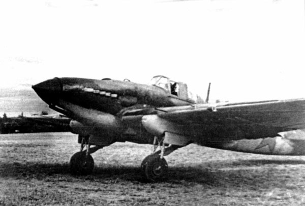 Иллюстрация к книге — "Лаптежник" против "черной смерти". Обзор развития и действий немецкой и советской штурмовой авиации в ходе Второй мировой войны [i_019.jpg]