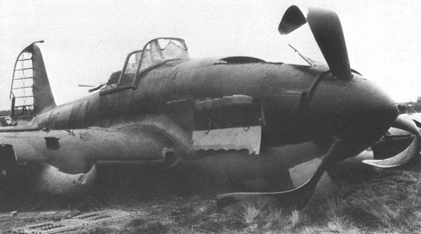 Иллюстрация к книге — "Лаптежник" против "черной смерти". Обзор развития и действий немецкой и советской штурмовой авиации в ходе Второй мировой войны [i_044.jpg]