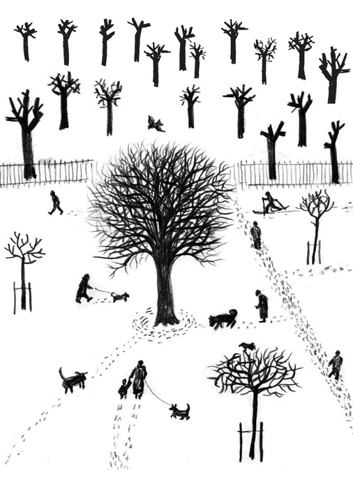 Иллюстрация к книге — Баба Яга пишет [i_007.jpg]