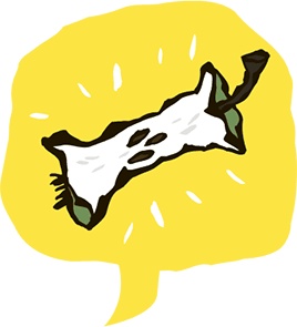 Иллюстрация к книге — Дело о мумии. Дело о бриллиантах [i_034.jpg]