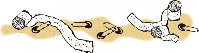 Иллюстрация к книге — Дело о мумии. Дело о бриллиантах [i_077.jpg]