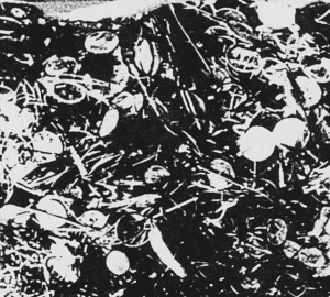 Иллюстрация к книге — Нюрнбергский набат. Репортаж из прошлого, обращение к будущему [i_042.jpg]