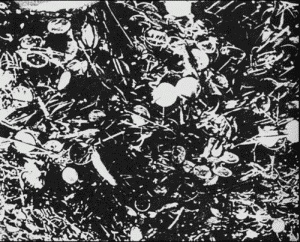 Иллюстрация к книге — Нюрнбергский набат. Репортаж из прошлого, обращение к будущему [i_069.jpg]