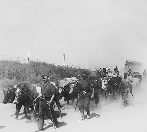 Иллюстрация к книге — Нюрнбергский набат. Репортаж из прошлого, обращение к будущему [i_084.jpg]