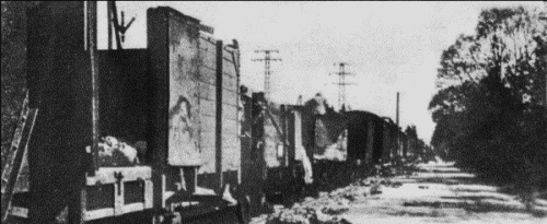 Иллюстрация к книге — Нюрнбергский набат. Репортаж из прошлого, обращение к будущему [i_165.jpg]