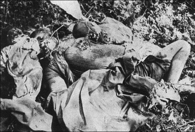 Иллюстрация к книге — Нюрнбергский набат. Репортаж из прошлого, обращение к будущему [i_191.jpg]