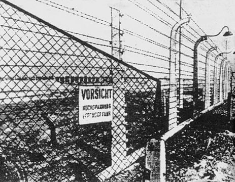 Иллюстрация к книге — Нюрнбергский набат. Репортаж из прошлого, обращение к будущему [i_241.jpg]