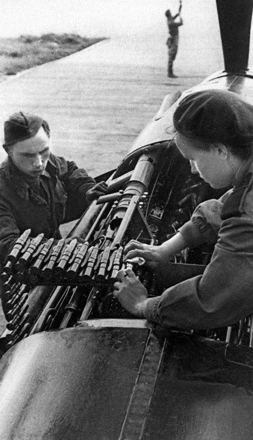 Иллюстрация к книге — Мы сгорали заживо. Смертники Великой Отечественной [i_222.jpg]