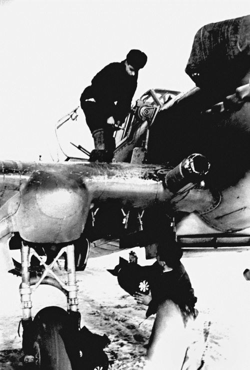 Иллюстрация к книге — Мы сгорали заживо. Смертники Великой Отечественной [i_353.jpg]