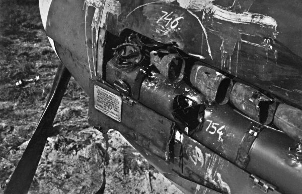 Иллюстрация к книге — Мы сгорали заживо. Смертники Великой Отечественной [i_389.jpg]