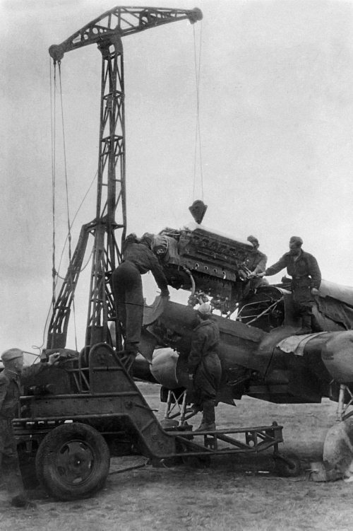 Иллюстрация к книге — Мы сгорали заживо. Смертники Великой Отечественной [i_435.jpg]