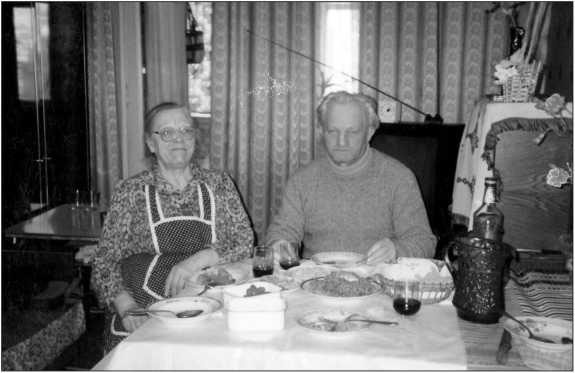 Иллюстрация к книге — Партизан Лейбу [i_004.jpg]