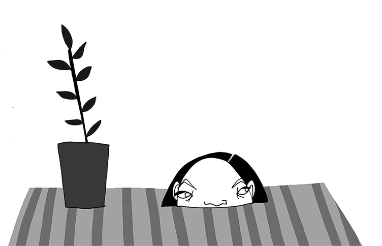 Иллюстрация к книге — У кого в России больше? [i_024.jpg]