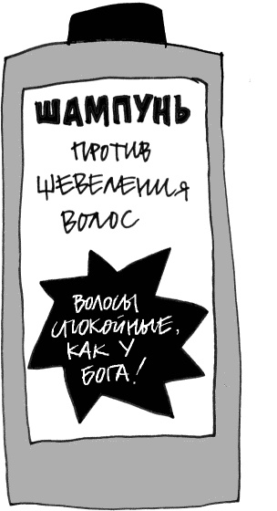 Иллюстрация к книге — Кот, консьержка и другие уважаемые люди [_244.jpg]