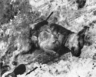 Иллюстрация к книге — Вяземская катастрофа 41-го года [_45.jpg]