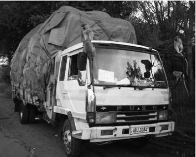 Иллюстрация к книге — Современная Африка. Войны и оружие [pic_255.jpg]