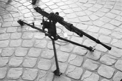 Иллюстрация к книге — Современная Африка. Войны и оружие [pic_345.jpg]