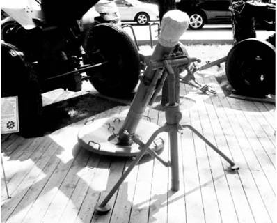 Иллюстрация к книге — Современная Африка. Войны и оружие [pic_350.jpg]