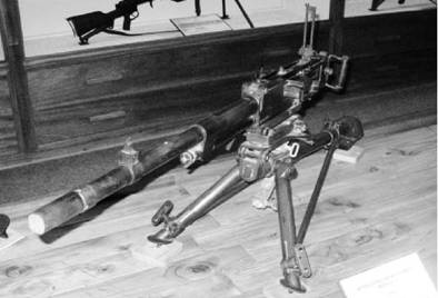 Иллюстрация к книге — Современная Африка. Войны и оружие [pic_392.jpg]