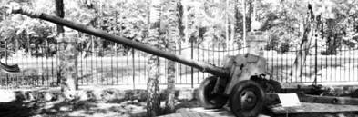 Иллюстрация к книге — Современная Африка. Войны и оружие [pic_61.jpg]