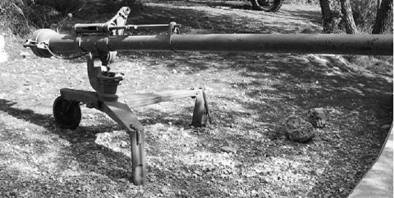 Иллюстрация к книге — Современная Африка. Войны и оружие [pic_92.jpg]