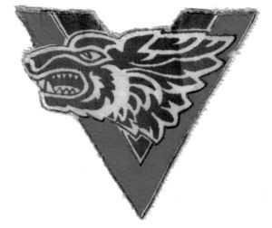 Иллюстрация к книге — Три цвета знамени. Генералы и комиссары. 1914-1921 [_33.jpg]