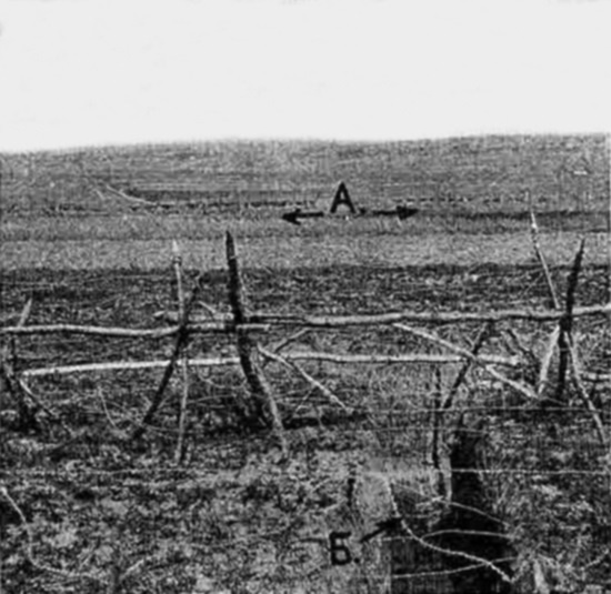 Иллюстрация к книге — Первые снайперы. «Служба сверхметких стрелков в Мировую войну» [i_001.jpg]