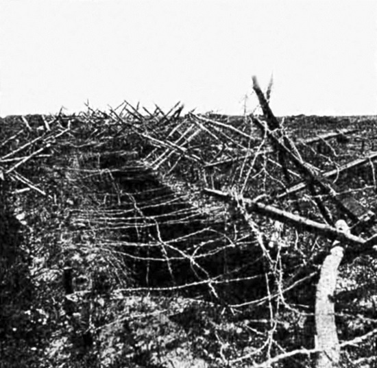 Иллюстрация к книге — Первые снайперы. «Служба сверхметких стрелков в Мировую войну» [i_002.jpg]