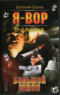 Книга Я - вор в законе. Большой шмон