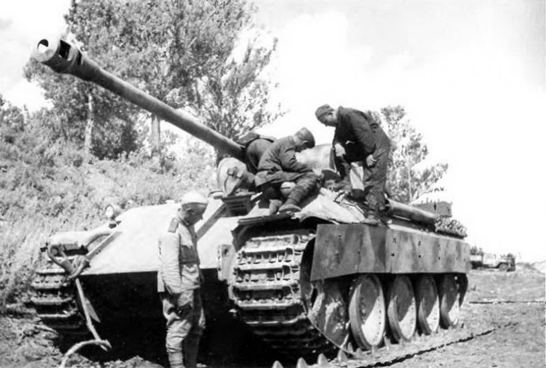 Иллюстрация к книге — «Пантера». Стальная кошка Панцерваффе [pic_95.jpg]