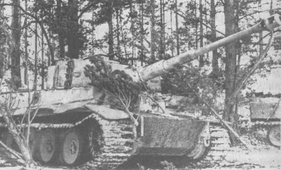 Иллюстрация к книге — Немецкие танки в бою [i_177.jpg]