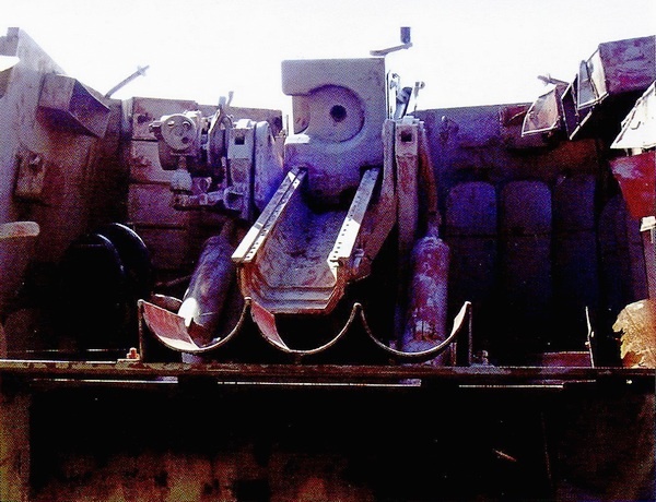 Иллюстрация к книге — Славянская броня Гитлера [i_201.jpg]