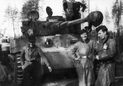 Иллюстрация к книге — Танковые асы Второй Мировой [i_184.jpg]