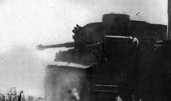 Иллюстрация к книге — Танковые асы Второй Мировой [i_217.jpg]