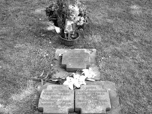 Иллюстрация к книге — Танковые асы Второй Мировой [i_242.jpg]