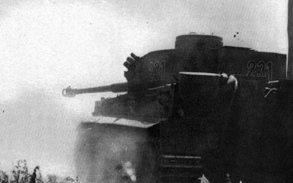 Иллюстрация к книге — Танковые асы Гитлера [i_065.jpg]