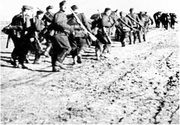 Иллюстрация к книге — Ленинградский "Блицкриг". На основе военных дневников высших офицеров вермахта генерал-фельдмаршала Вильгельма Риттера фон Лееба и генерал-полковника Франца Гальдера. 1941-1942 [i_003.jpg]