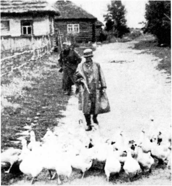 Иллюстрация к книге — Ленинградский "Блицкриг". На основе военных дневников высших офицеров вермахта генерал-фельдмаршала Вильгельма Риттера фон Лееба и генерал-полковника Франца Гальдера. 1941-1942 [i_016.jpg]